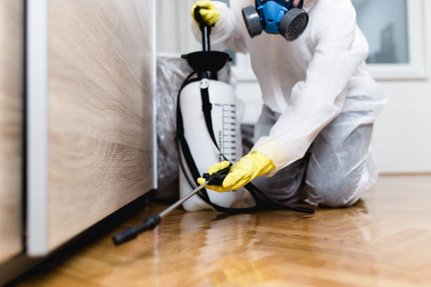 Best Best Pest Control Companies  in Atkinson, NE