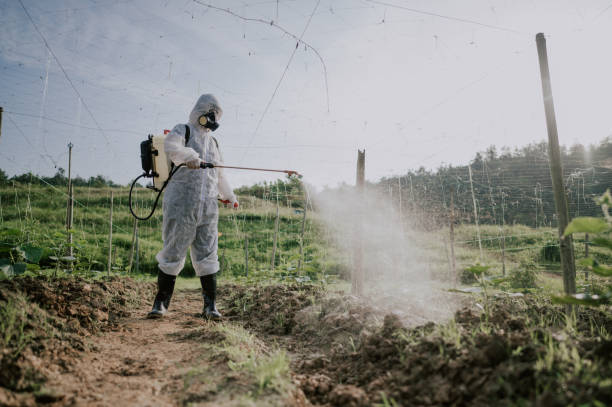 Professional Pest Control in Atkinson, NE