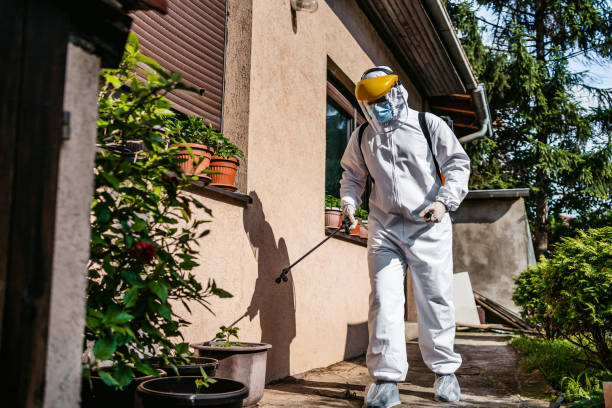 Wasp Removal Services in Atkinson, NE