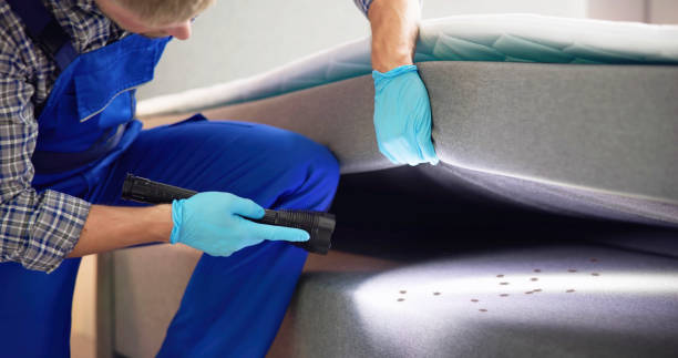 Best Affordable Pest Control Services  in Atkinson, NE